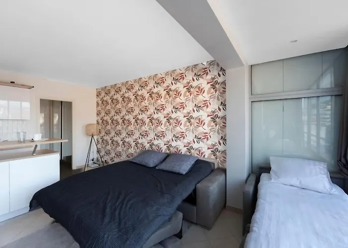 Le Grand -centre Croisette Apartment